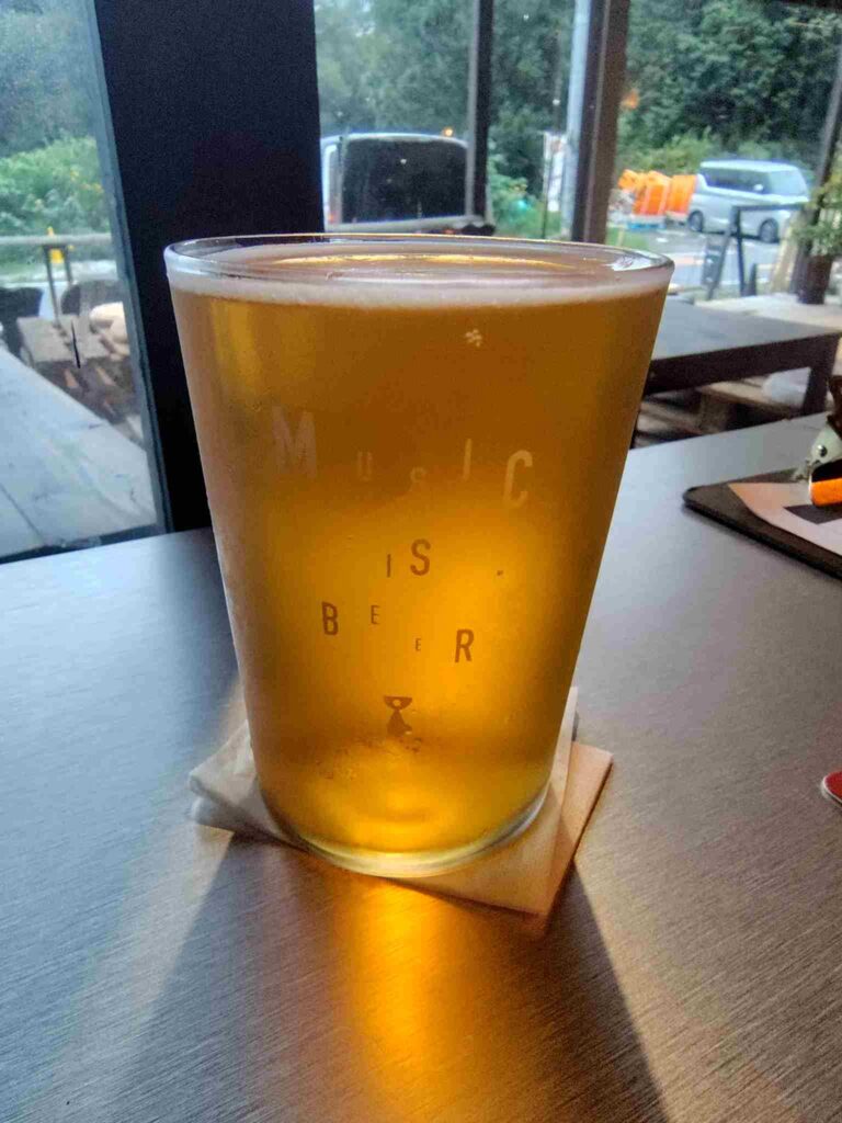 TeenageBrewingWestCoastDDH-IPA