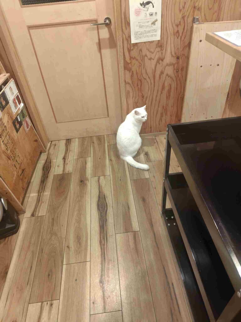 麦雑穀工房マイクロブルワリー猫様