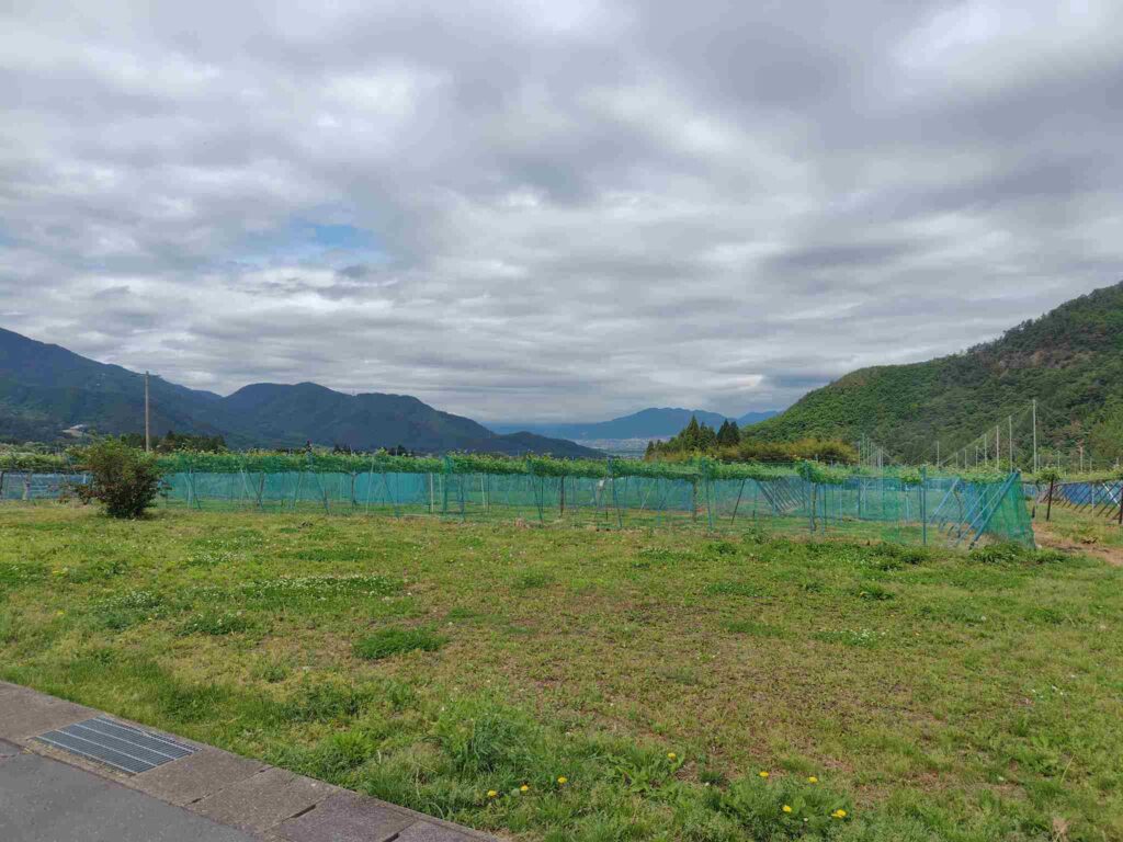 信州須坂フルーツエール_目の前