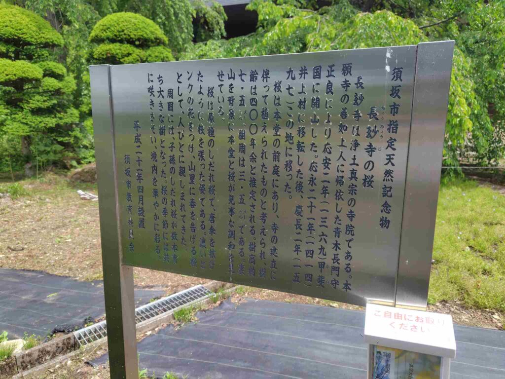 長妙寺の桜解説