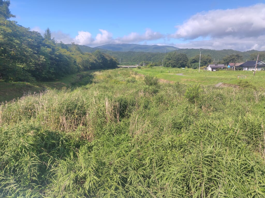 河内川青笹地区