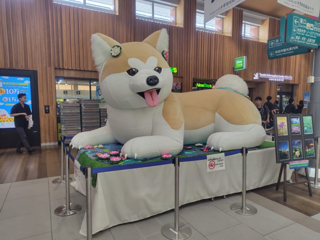 秋田駅秋田犬2026年8月